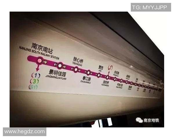 南京乒乓球队运营模式解析与发展前景探讨 南京乒乓球队运营模式解析与发展前景探讨