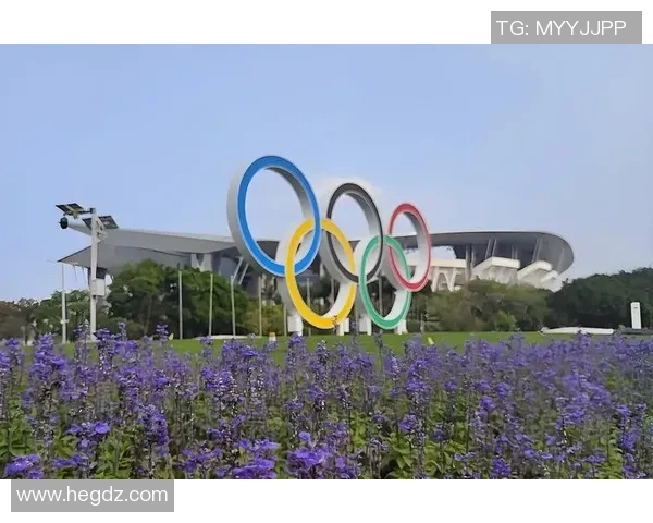 深圳网球队耐力表现分析及其对比赛成绩的影响研究 深圳网球队耐力表现分析及其对比赛成绩的影响研究