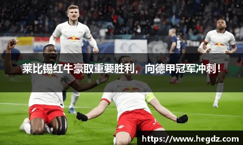 VSport官网入口vsport体育在线官网
