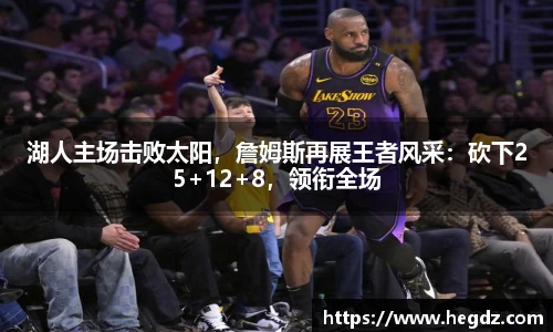 VSport官网入口vsport体育在线官网