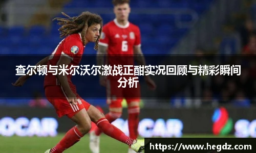 VSport官网入口vsport体育在线官网