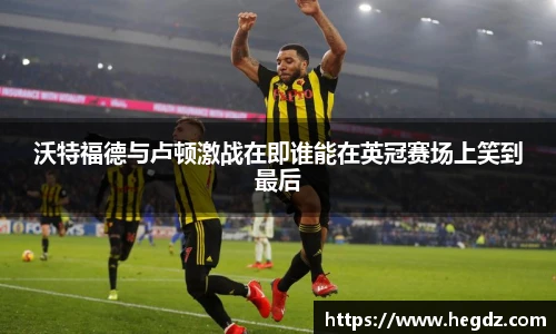 VSport官网入口vsport体育在线官网