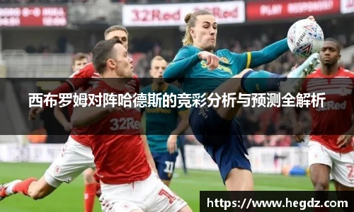 VSport官网入口vsport体育在线官网