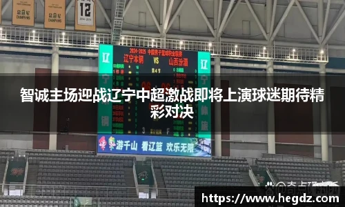 VSport官网入口vsport体育在线官网