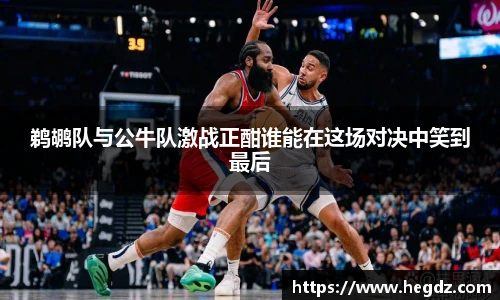 VSport官网入口vsport体育在线官网